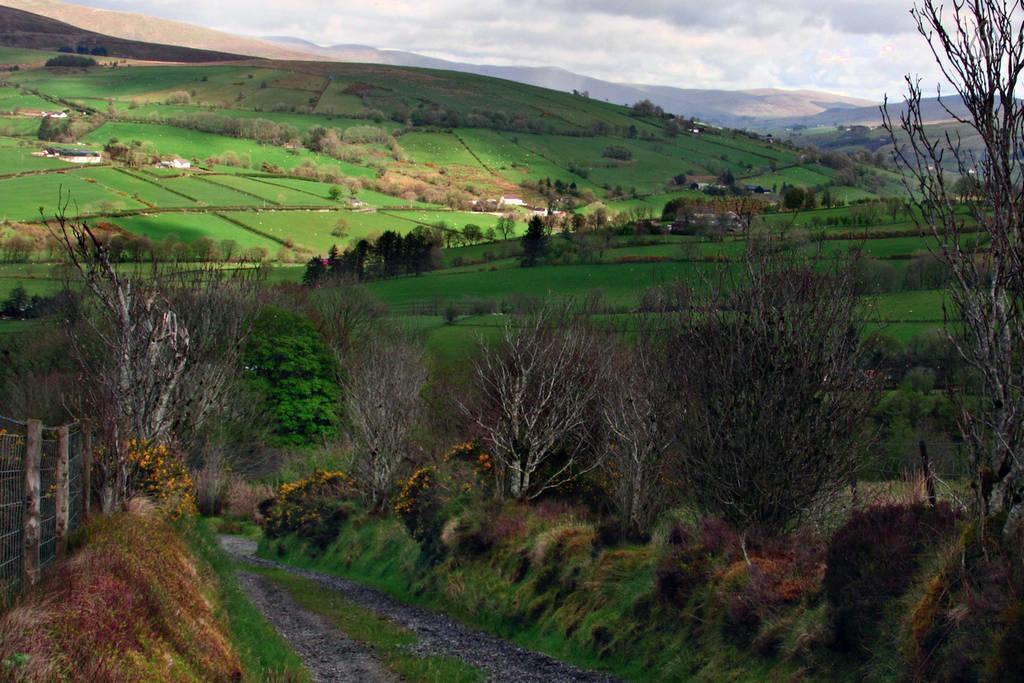 Holiday home Hawthorn Greencastle (Tyrone)